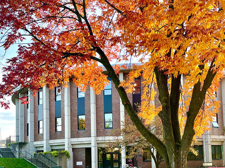 An image of the Shorewood Intermediate School front entrance during the Fall season